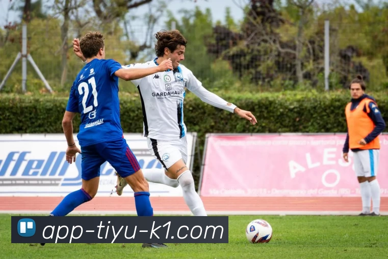 K1体育平台生态图